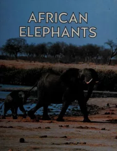 African elephants