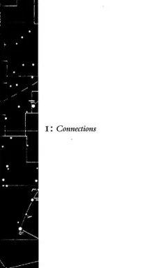 The Deleuze connections
