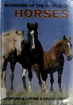 Wonders of the world of horses