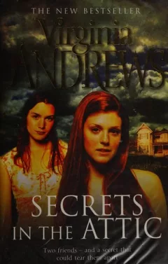Secrets in the attic