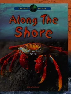 Along the shore