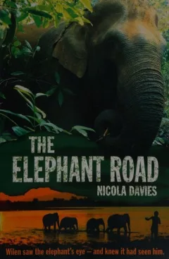 The elephant road