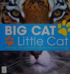 Big cat, little cat