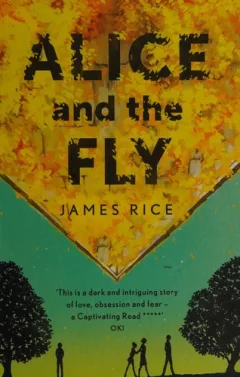 Alice and the fly
