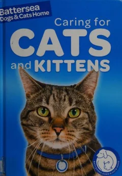Caring for cats and kittens