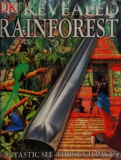Rain forest revealed