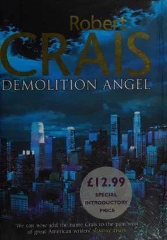 Demolition angel