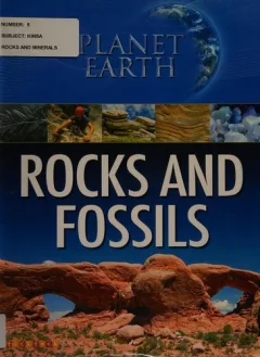 Rocks and fossils