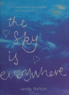The sky is everywhere