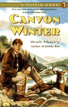 Canyon winter