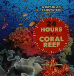 24 hours on a coral reef
