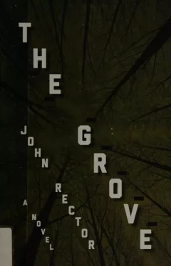 The grove