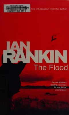 The flood