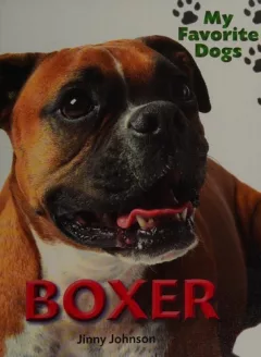 Boxer