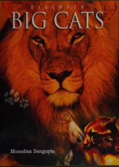 Discover big cats