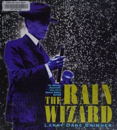 The rain wizard