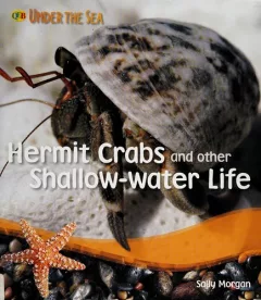 Hermit crabs and other shallow-water life