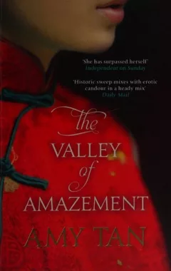 The valley of amazement