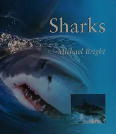 Sharks