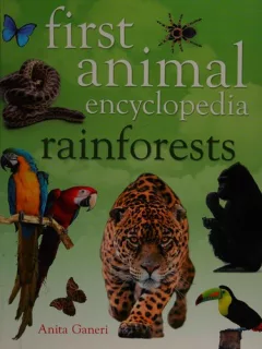 Rainforests