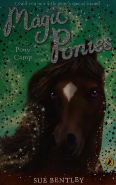 Pony camp