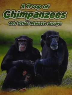 A troop of chimpanzees and other primate groups