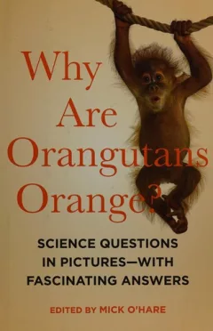 Why are orangutans orange?