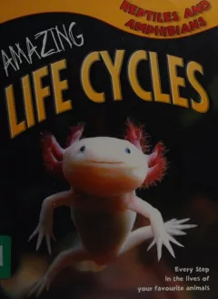 Reptiles and amphibians