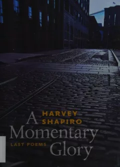 A Momentary Glory