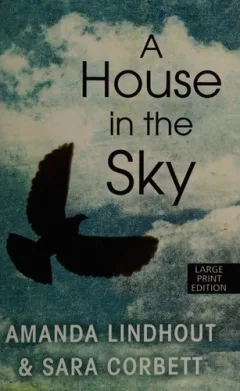 A house in the sky