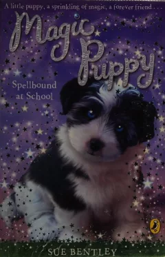 Spellbound at school