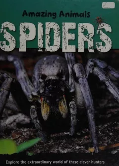 Spiders