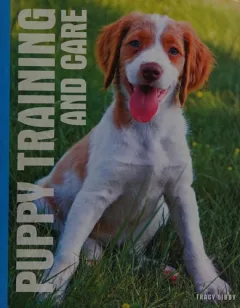 Puppy training and care