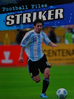 Striker