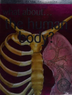 What about the human body?