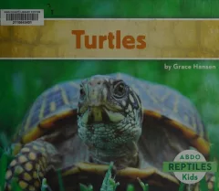 Turtles