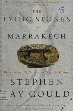 The lying stones of Marrakech