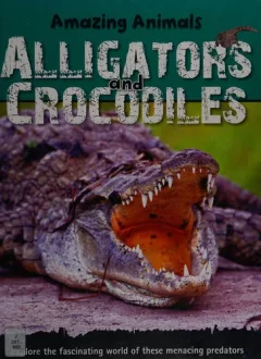 Alligators and crocodiles