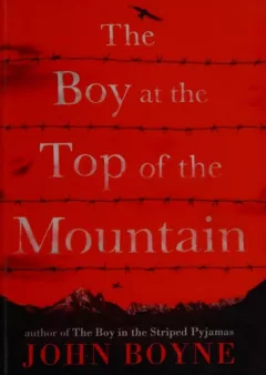 The boy at the top of the mountain