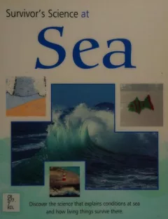 At sea