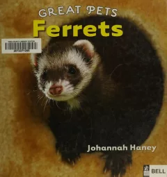 Ferrets