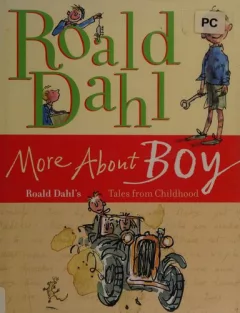 More about Boy