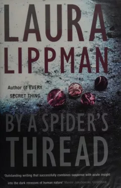 By a Spider's Thread