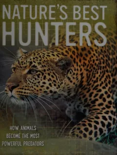 Nature's best hunters