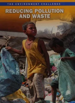 Reducing Pollution and Waste