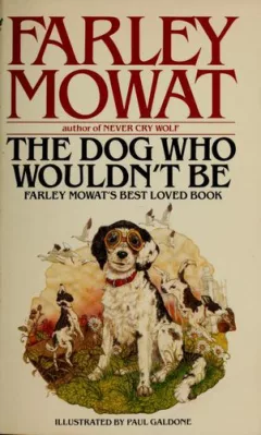 The dog who wouldn't be
