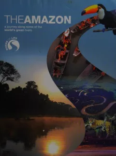 The Amazon