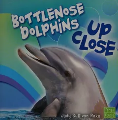 Bottlenose dolphins up close