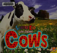 Cows