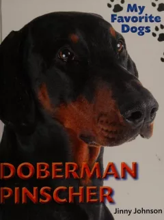 Doberman pinscher